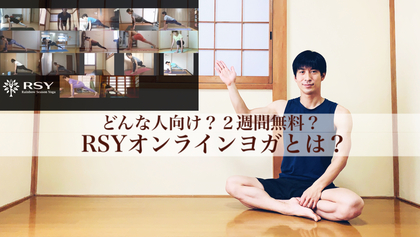 オンライン解説