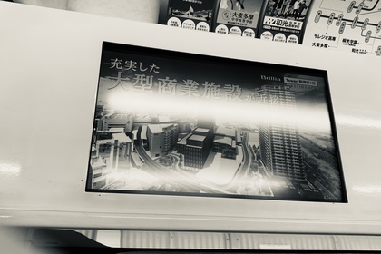 オンラインヨガ　アナトミック骨盤ヨガ