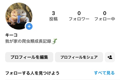 爬虫類　インスタ